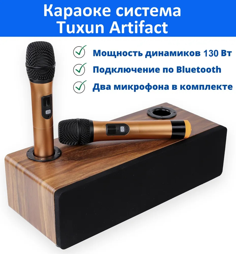 Home Cinema Audio System - Profesjonalny zestaw Karaoke bezprzewodowy mikrofon zestaw