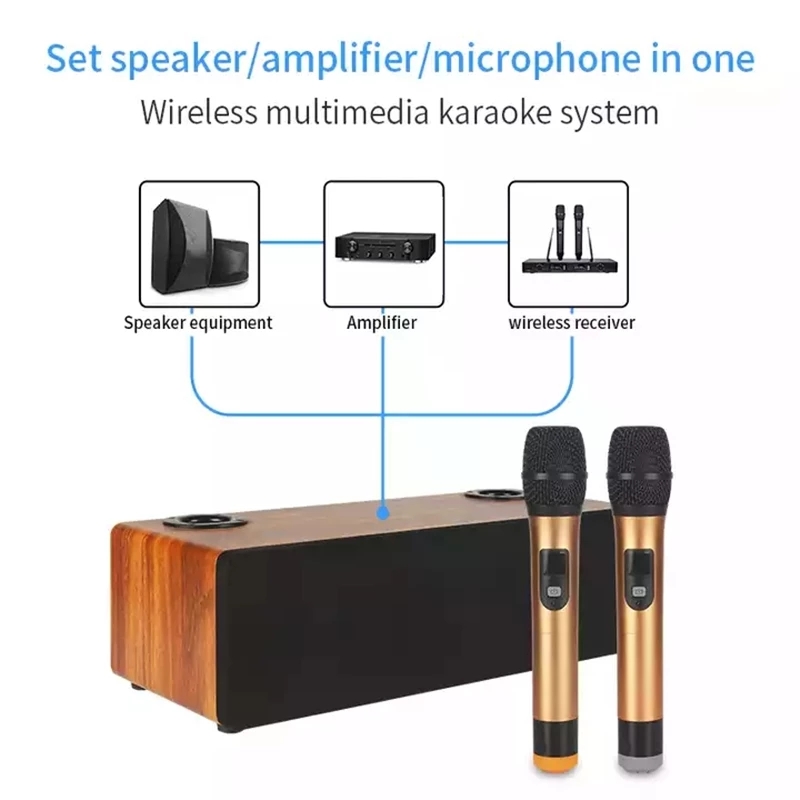 Profesjonalny zestaw Karaoke b – Home Cinema Audio System recenzja i cena